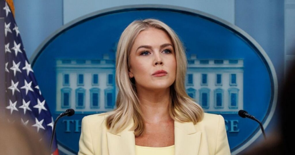 Karoline Leavitt Gets Slammed on Live TV.