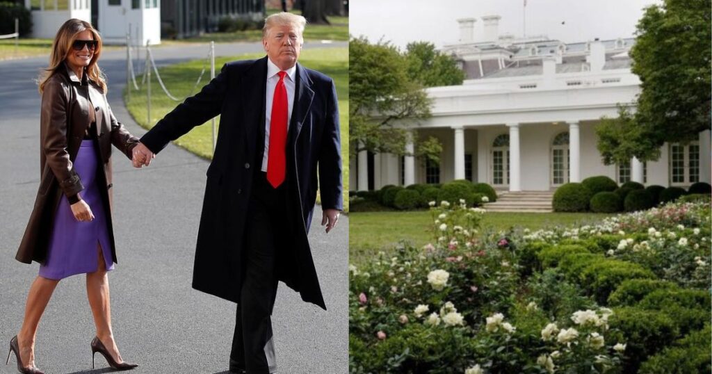 Trump's Rose Garden Makeover Slammed as 'Genuinely Awful'