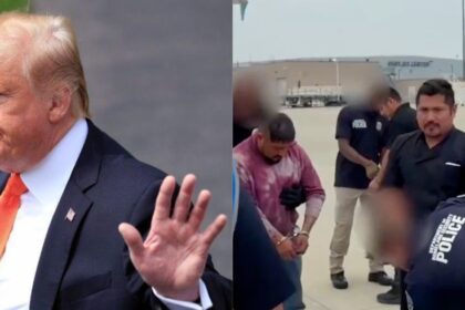 Trump administration heavily criticised for post mocking immigrants