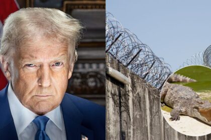 Donald Trump plans to visit Alligator Alcatraz on Tuesday