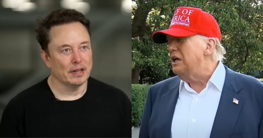 Elon Musk and Donald Trump