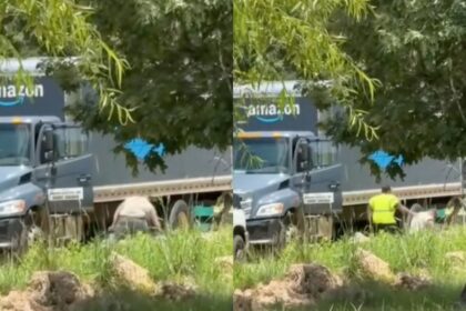 White man punched a Black Amazon driver