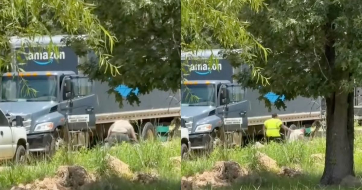 White man punched a Black Amazon driver