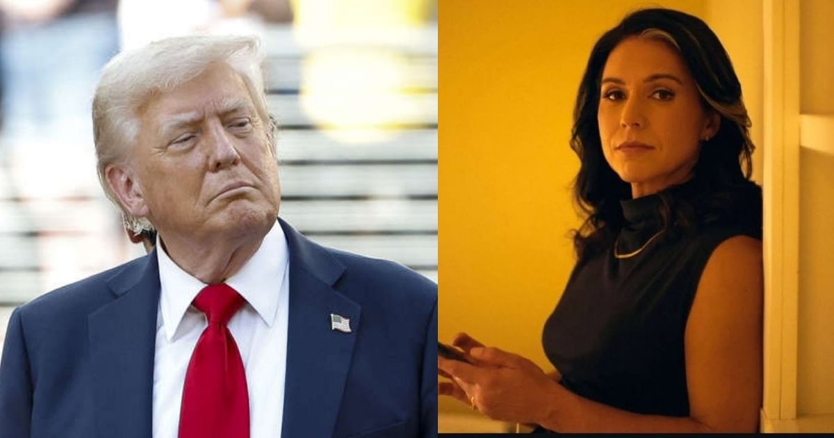 trump-tulsi gabbard