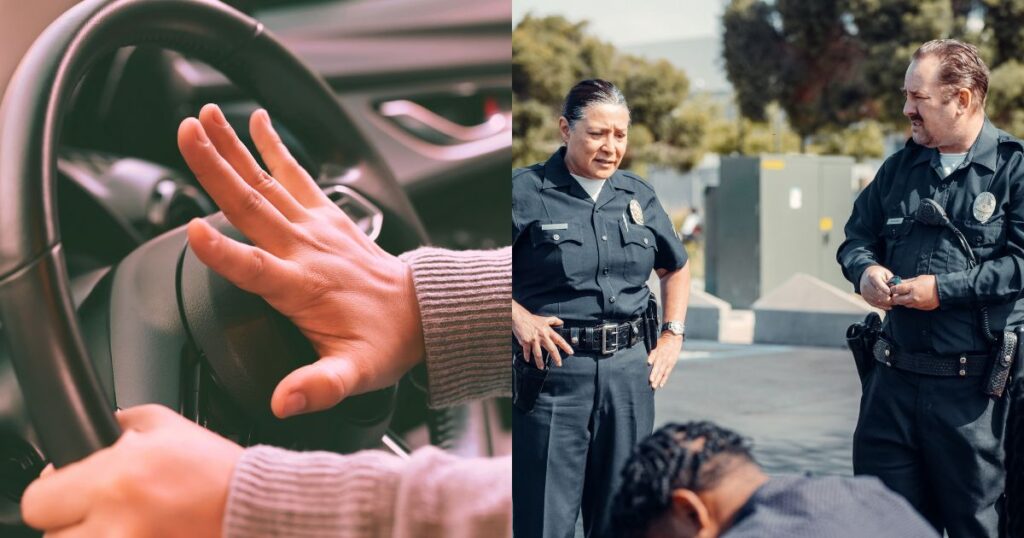 Black Driver Brutally Arrested After Honking at Idle NY Cop