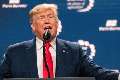 Donald Trump (picture via rawopixel).