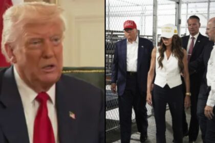 Donald Trump Alligator Alcatraz