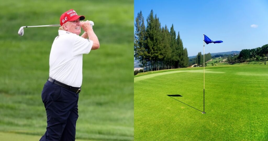 Trump Has A New Plan to Turn D.C. National Parks into the 'Finest Grasses'