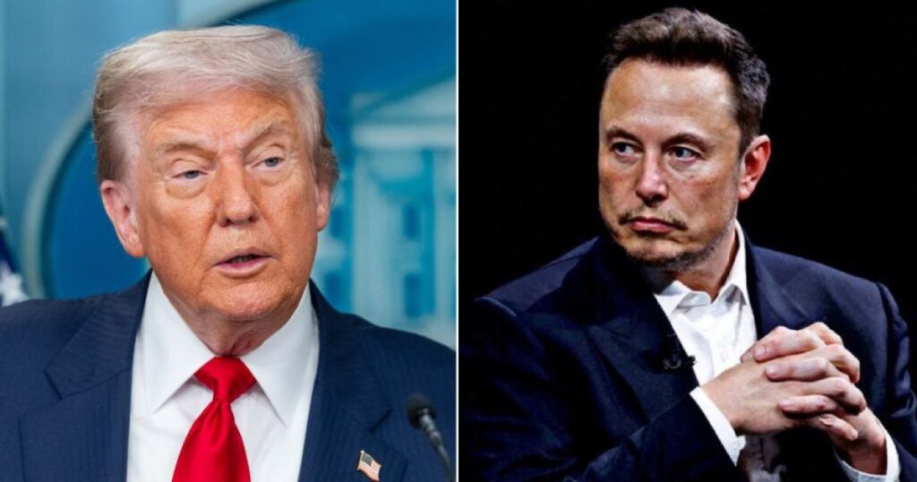 Elon Musk Rages at Trump Official
