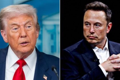 Elon Musk Rages at Trump Official