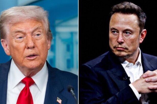Elon Musk Rages at Trump Official