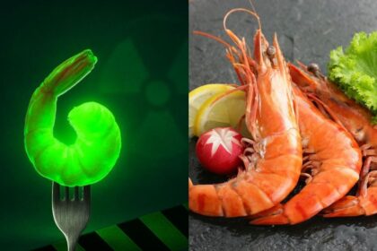 FDA Issues Urgent Warning on Walmart Seafood