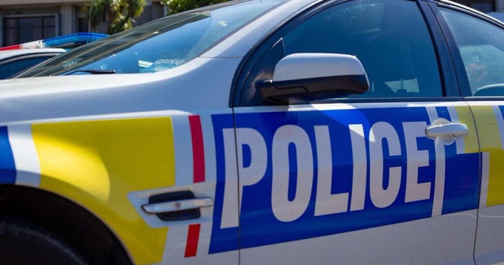 Police arrest New Zealand woman for carrying child in suitcase