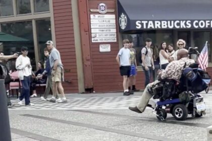 Powell-Timm: Stolen Valor