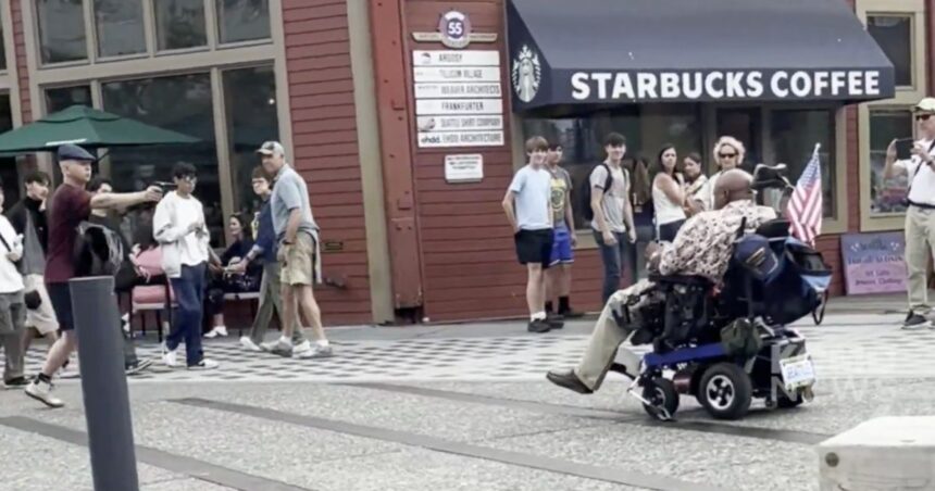 Powell-Timm: Stolen Valor