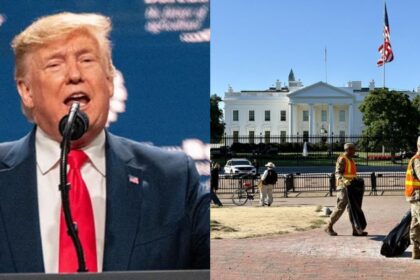 President Donald Trump Sends National Guard to Clean Up D.C. streets leave many confused. (left- (picture via rawopixel) and ( right- @joeflood|X).
