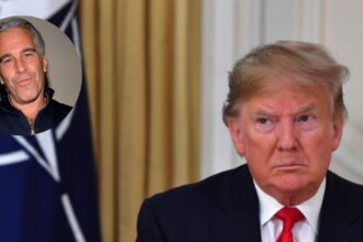 President Donald Trump (@Maga_Trigger|X) and late Jeffrey Epstein(@jimstewartson|X).