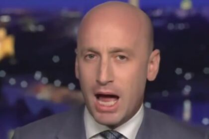 Stephen Miller on Fox