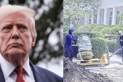 Trump claims the White House Rose Garden damage is resolved now.