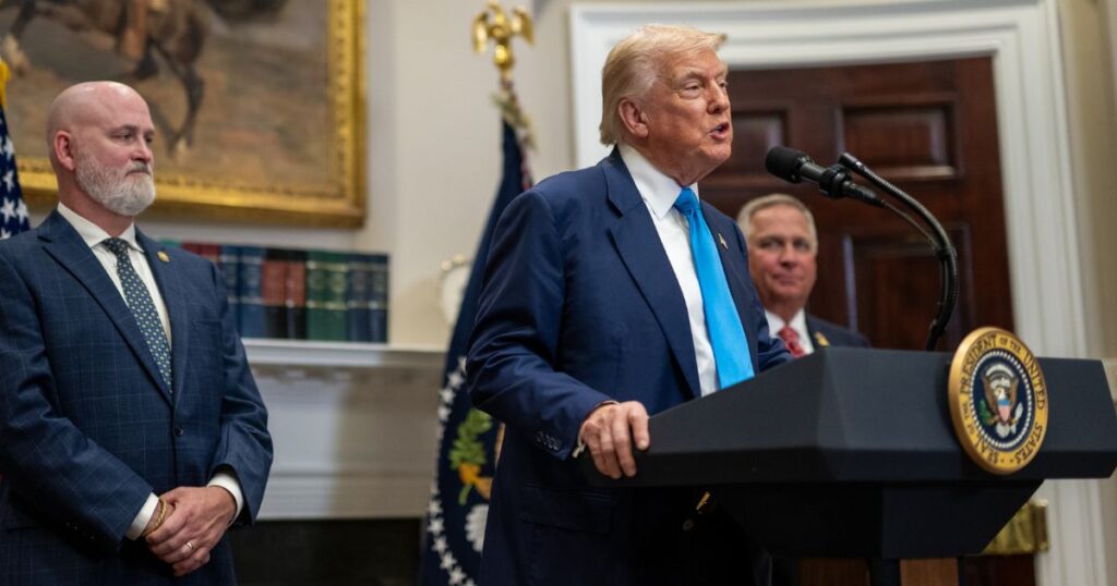 Donald Trump addressing the press