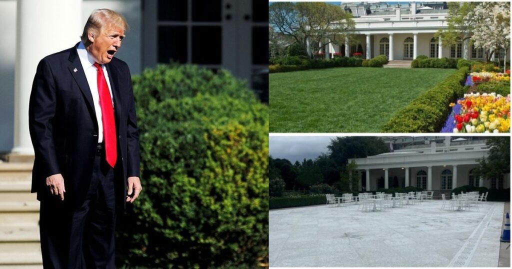 trump's rose garden