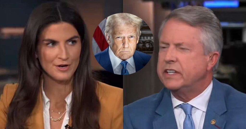 CNN's Kaitlan Collins was furious that President Trump posted the AI video mocking Chuck Schumer and Hakeem Jeffries. (Image Source: ConsvAF/X)