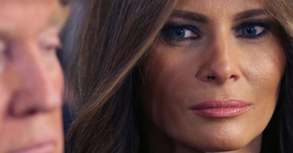 Donald Trump and Melania Trump. (@anyonewantchips|X).