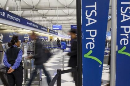 Fake ID issues for TSA