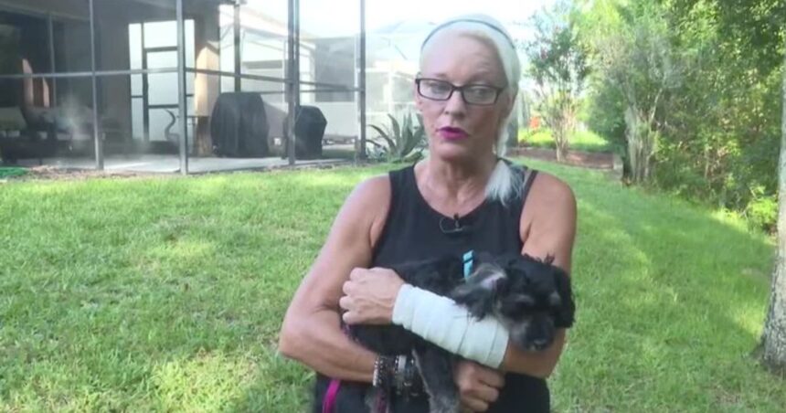 A Florida woman punched the alligator’s eye repeatedly.