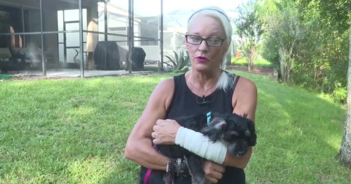 A Florida woman punched the alligator’s eye repeatedly.