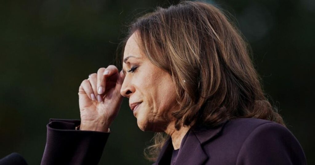 Kamala Harris Reveals Her Blunder That Ended Her White House Hopes