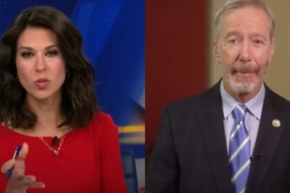 MSNBC host Ana Cabrera questions Republicans on Trump's Epstein link.