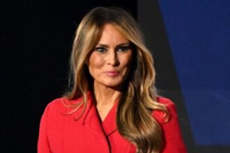 Melania Trump's ornaments price giving her Grinch reputation.