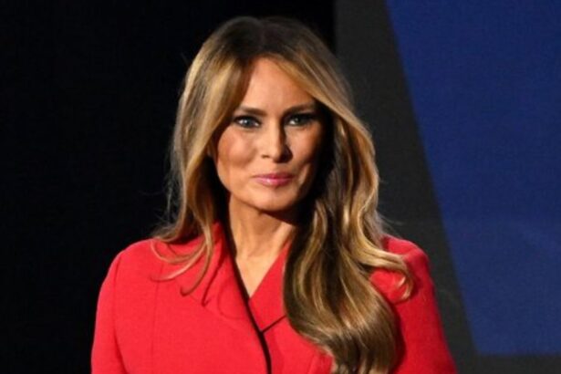 Melania Trump's ornaments price giving her Grinch reputation.