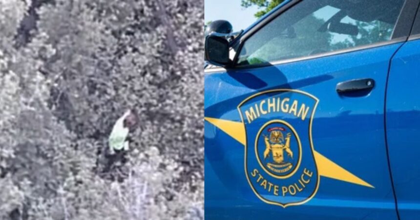 Michigan State Police rescued a woman lost in jungle