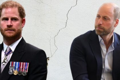 No Reunion With Prince William During Prince Harry's UK Trip