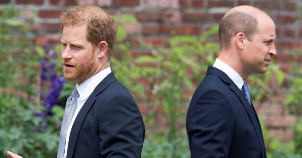 prince harry and prince william