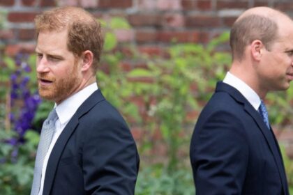 prince harry and prince william