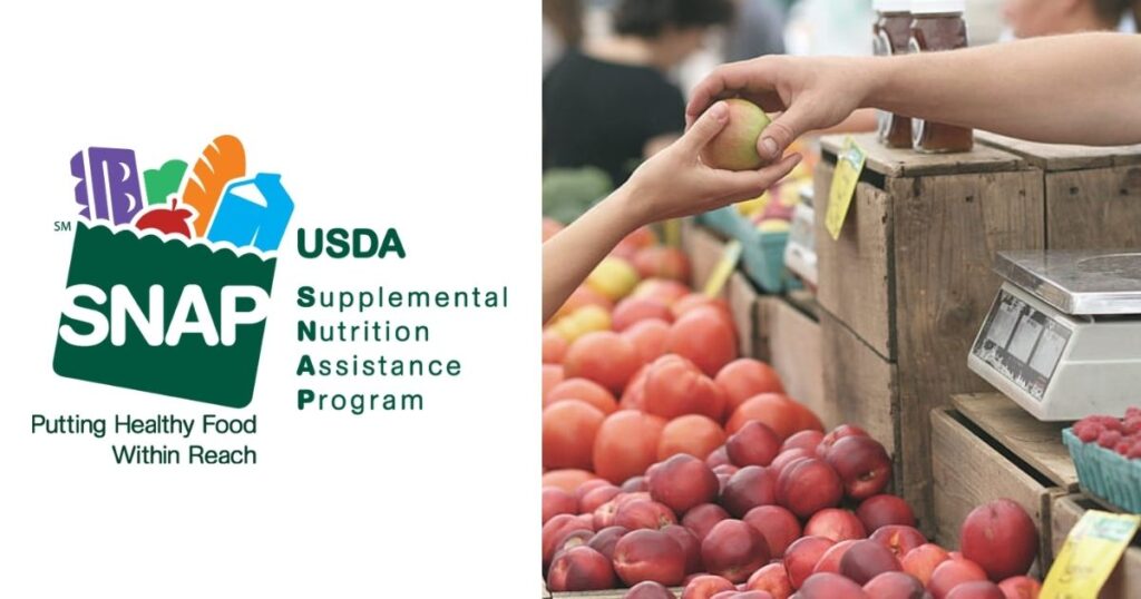 SNAP updates in october