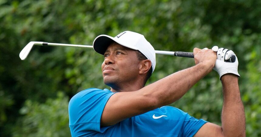 tiger woods