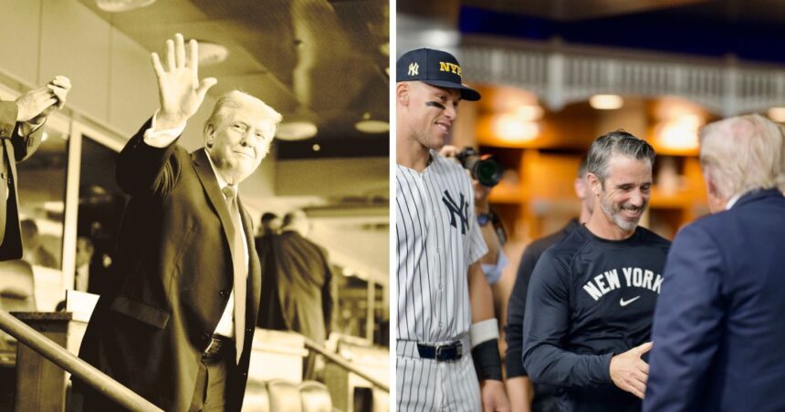 Donald Trump at the Yankees game