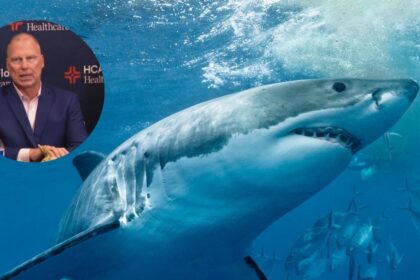Florida dad opens up about Shark attack
