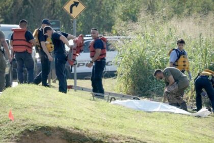 Houston Serial Killer