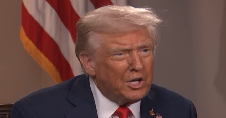 Donald Trump OAN interview