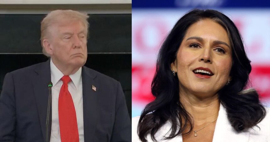 Donald Trump and Tulsi Gabbard