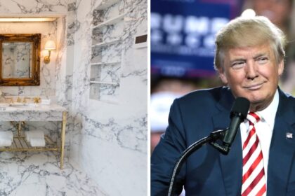 Donald Trump renovated the Lincoln Bathroom.