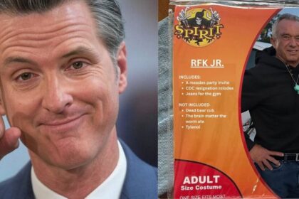 Gavin Newsom trolls Trump administration members in new posts (Image Source: @TrumpsHurricane /@GovPressOffice via X.com)