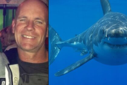 Paul Barning died tragically in an shark attack