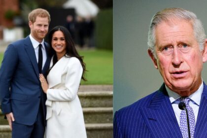 Prince Harry met with King Charles