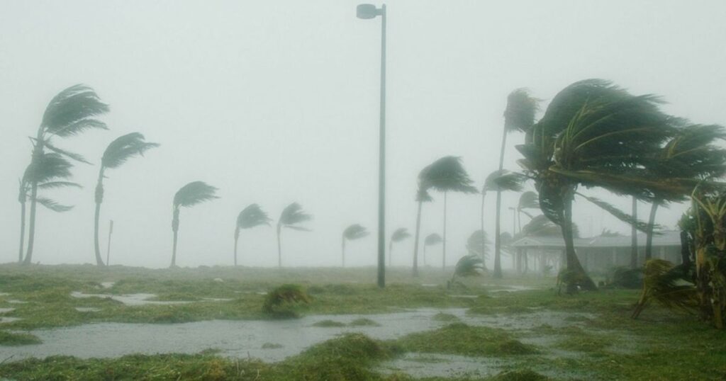 Tropical Storm 'Jerry' likely to hit Florida Here's what forecasters predict. (